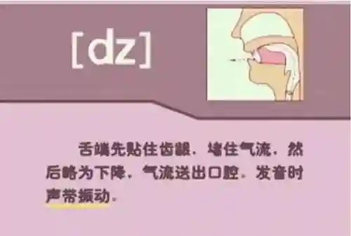 英语音标发音表(48个音标大全表图片)插图49