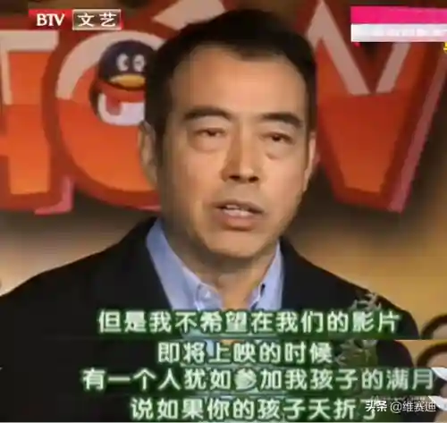 无极演员阵容搭配(无极演员表介绍)插图11
