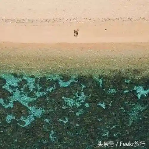环形蜘蛛阵容搭配图解(金铲铲之战蜘蛛主c阵容)插图38