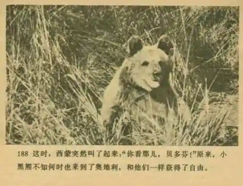 王中王马王中王资料大全(澳门王中王100%的资料)插图189
