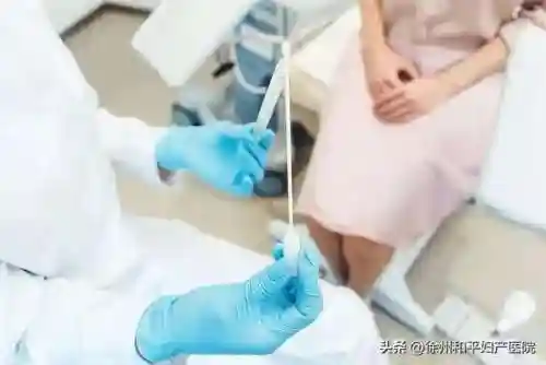 人工学院2怎么知道怀孕没有(人工学院2安装教程)插图3