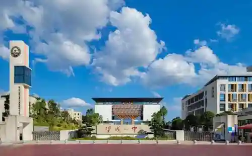 梦想启航阵容搭配攻略(航海王启航最佳阵容搭配)