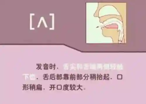 英语音标发音表(48个音标大全表图片)插图14