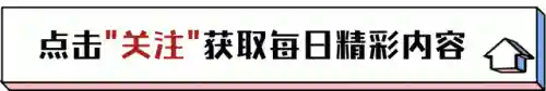 神秘视线13(神秘视频的5个线路)