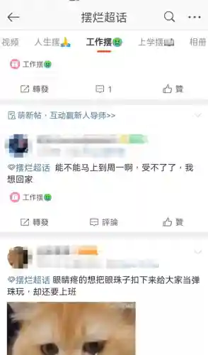 起舞阵容怎么搭配2022(模拟战起舞的阵容搭配)插图4