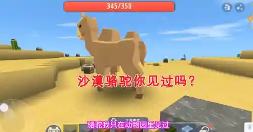 迷你世界国际服沙漠版本(miniworld国际沙漠旧版下载)插图3