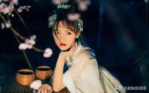 天下三分明月夜的下一句是(沾衣欲湿杏花雨下一句)插图2