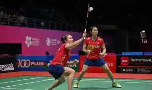 米多多搭配什么阵容(斯多利卡什么阵容好刷)