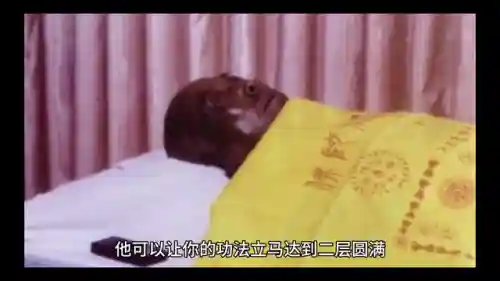 重生之丹武双修(重生最强丹帝)插图1