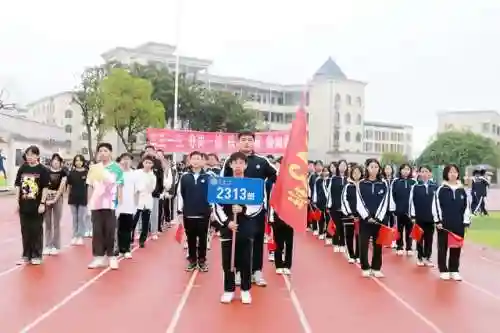 梦想启航阵容搭配攻略(航海王启航最佳阵容搭配)插图4