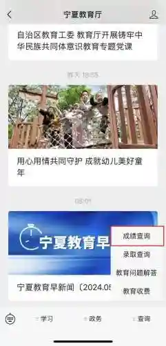 考试成绩查询(中小学生查成绩的软件)插图1