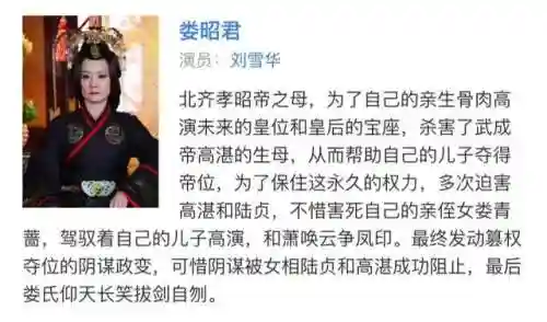 陆贞传奇搭配阵容推荐(陆贞传奇的演员表介绍)插图10