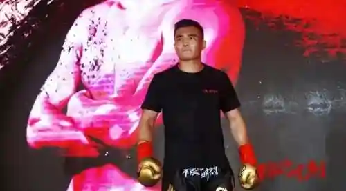 巅峰之夜阵容搭配攻略(巅峰竞技场阵容搭配)插图3