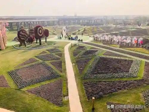 洛克王国紫藤快速获得(洛克王国紫藤150怎么弄)插图41