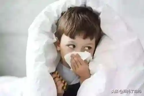 吞噬细胞阵容搭配(吞噬星空黎明零氪阵容推荐)插图2