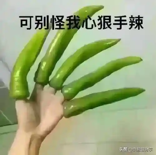 40个顶级搞笑笑话(积极向上正能量的幽默笑话)插图34