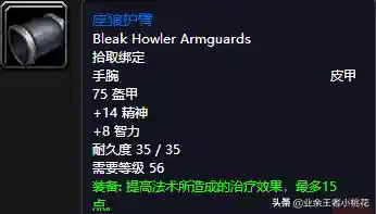 黑石塔下层掉落(黑石塔下层地图详解)插图41