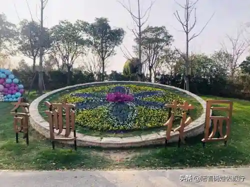 洛克王国紫藤快速获得(洛克王国紫藤150怎么弄)插图48