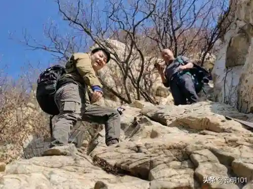 仙境游记推荐阵容搭配(歧路旅人2阵容搭配)插图14