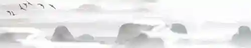囝囝囡囡怎么读(孓孑孓孒怎么读)插图5