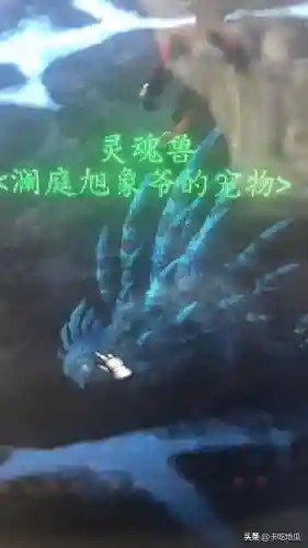 卡位面抓灵魂兽教程(诸天：从魂兽世界开始打卡)插图2