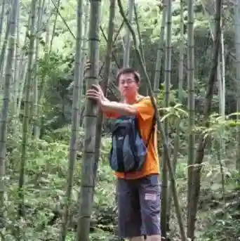 梦幻西游手游179个表情包(梦幻西游全部表情gif)插图8