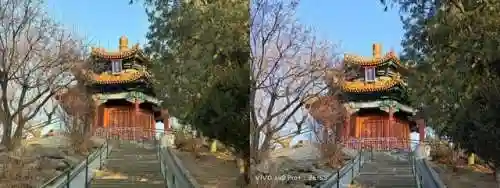 王者有阵容搭配的软件(王者荣耀阵容搭配大全)插图4 王者有阵容搭配的软件(王者荣耀阵容搭配大全)插图4