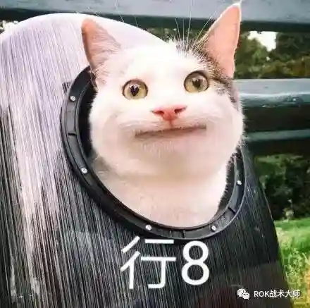 关羽阵容体系搭配谁最强(关羽主C最佳阵容)插图43