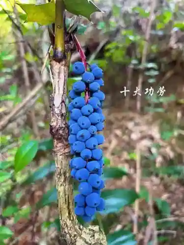 灵魂触发者(灵魂触发者矿区详细介绍)插图3