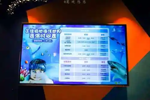 炫舞极地搭配阵容(炫舞时尚先锋sss搭配)插图13