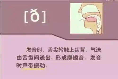 英语音标发音表(48个音标大全表图片)插图41