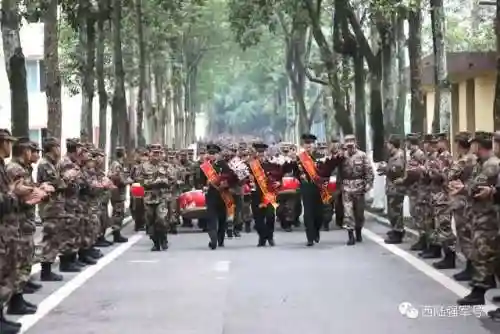 铁甲奇兵先锋阵容搭配(铁甲风暴平民最佳阵容)插图13