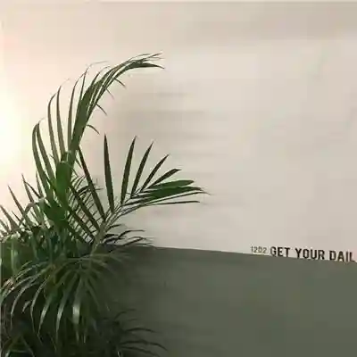 罕见好听的古风帮派名字(仙气十足的帮派名字)
