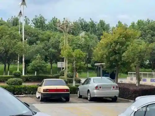绿罩鲨阵容搭配(沙暴队最强阵容搭配)插图8