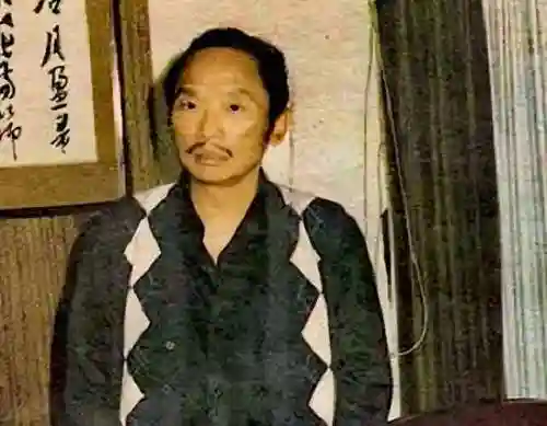 剑气纵横三万里(三少爷的剑 推荐阅读)