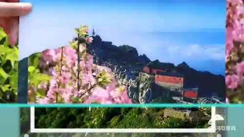 蓝线挑战最强阵容搭配图片(蓝卡队最常见的队伍搭配)插图2