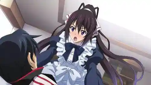 无限斯特拉托斯(无限斯特拉托斯第一季 剧情介绍)插图4 无限斯特拉托斯(无限斯特拉托斯第一季 剧情介绍)插图4