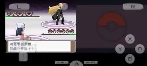 口袋妖怪黑白一周目图文攻略(pokemmo黑白一周目攻略)插图5