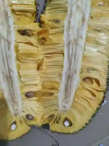 快刀切水果(水果忍者现在叫什么)插图5