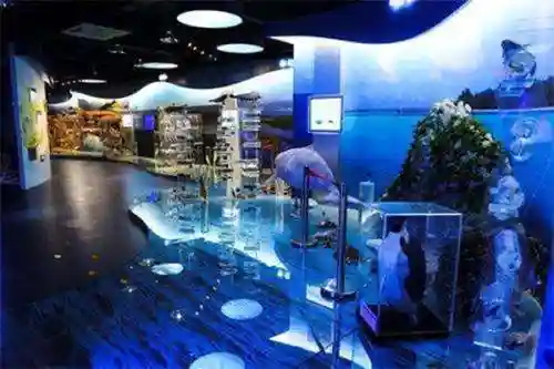 4050华佗的阵容搭配(华佗适合什么阵容)插图21
