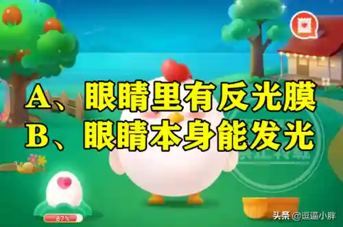 猫的眼睛蚂蚁庄园(蚂蚁庄园的答案今天)插图1