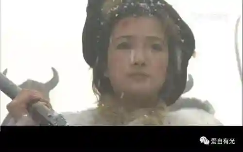 从射雕开始霸美(射雕重生之我是穆念慈)插图11