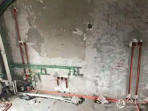 洛克号储物仓的宠物怎么捕捉(洛克号储物仓百科)插图26