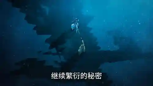 仙舟主线任务阵容搭配(仙舟竞速最强阵容搭配)插图4