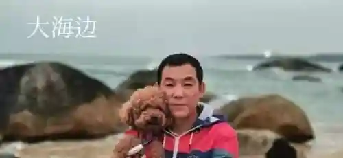 赛尔号哈莫雷特怎么获得2022(赛尔号哈莫进化图鉴)