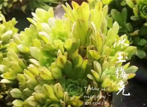 法师最牛最霸气名字(一眼就看出是玩法师的ID)插图75