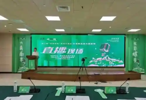 烟雨战队阵容搭配图表最新(烟雨江湖后期阵容搭配)插图4