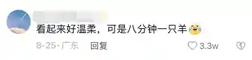 荒漠屠夫图片(你长得好像上单鳄鱼荒漠屠夫)插图3