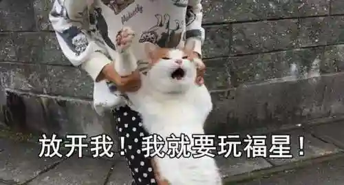 六福星阵容搭配教学(星期六魔王最强阵容)插图6