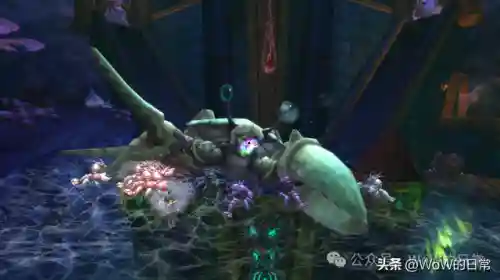 魔兽世界多玩盒子(多玩魔盒插件设置教程)插图6